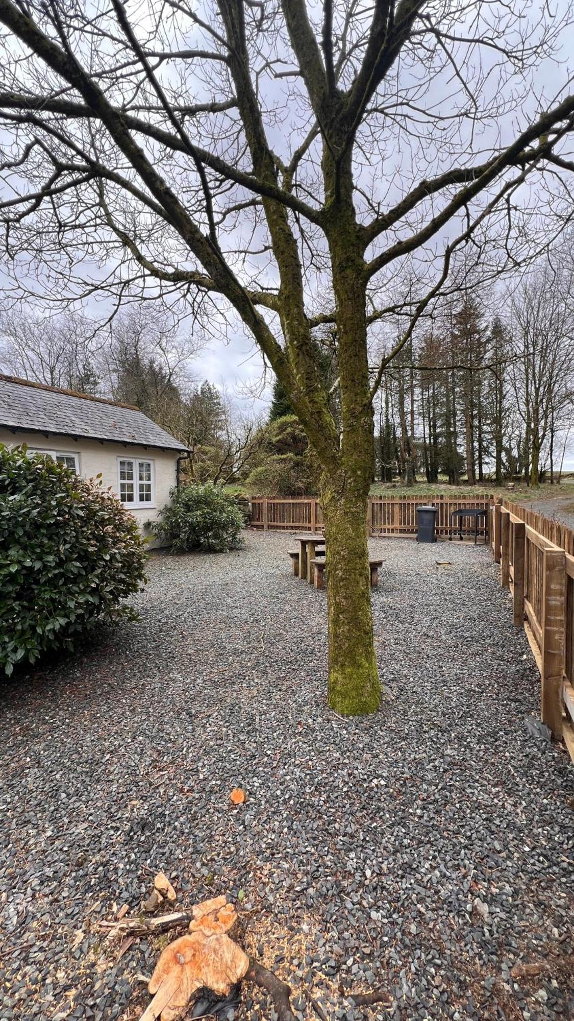 Wrens Nest Villa Newton Stewart Dış mekan fotoğraf